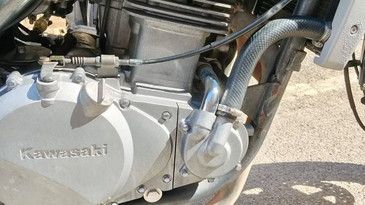 Kawasaki ER-5 500 (2001 - 06)  (5)