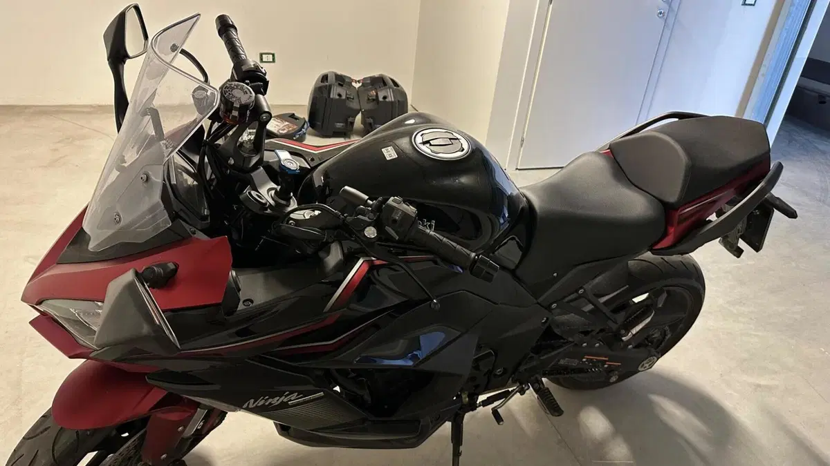 Kawasaki Ninja 1000 SX (2021 - 24)  (3)
