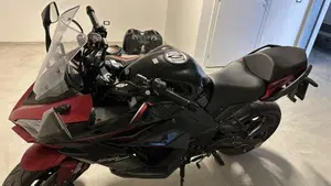 Kawasaki Ninja 1000 SX (2021 - 24)  (3)