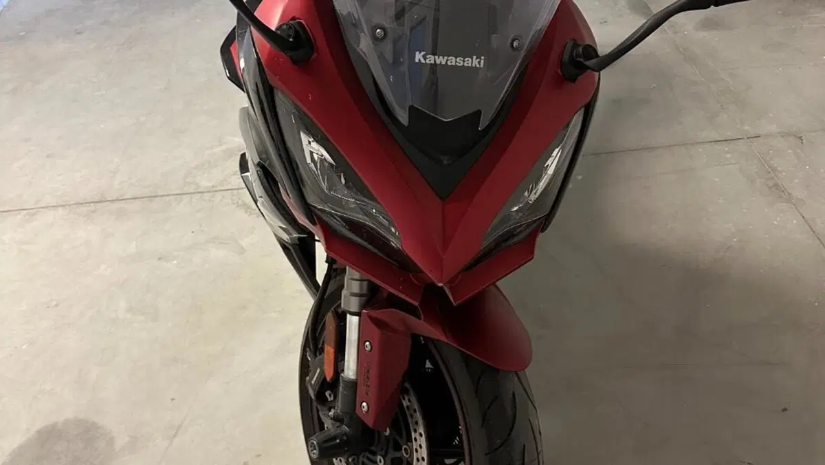 Kawasaki Ninja 1000 SX (2021 - 24)  (4)