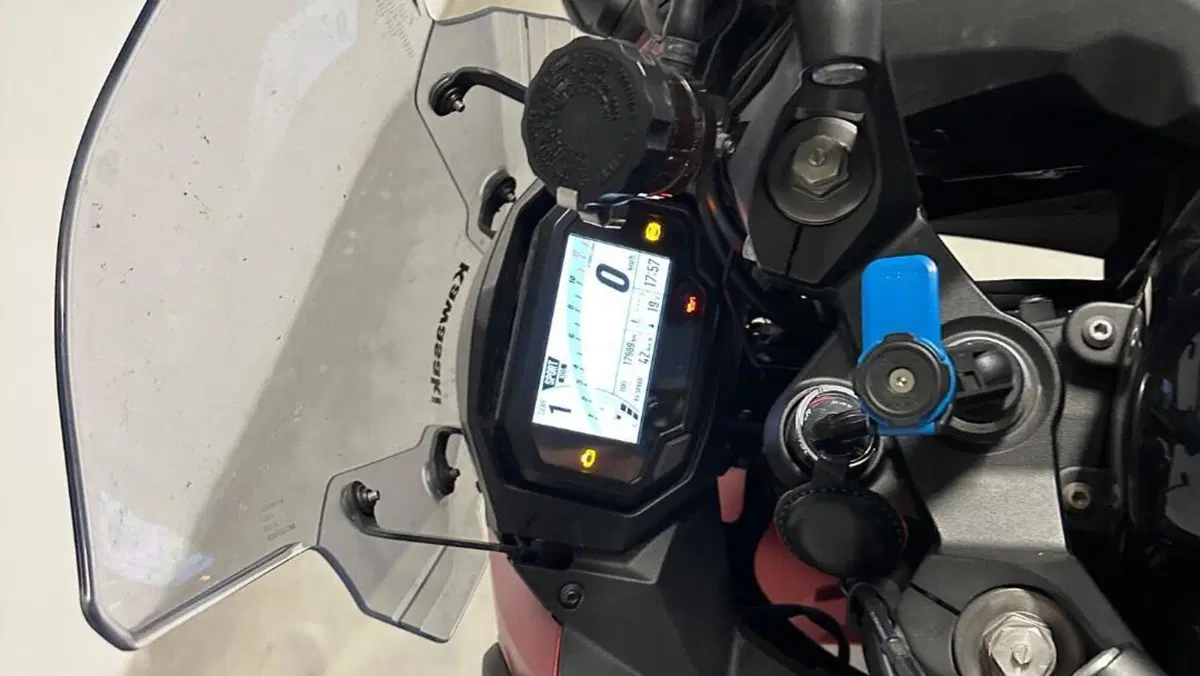 Kawasaki Ninja 1000 SX (2021 - 24)  (5)