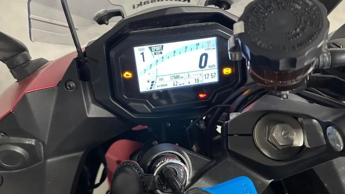 Kawasaki Ninja 1000 SX (2021 - 24)  (6)