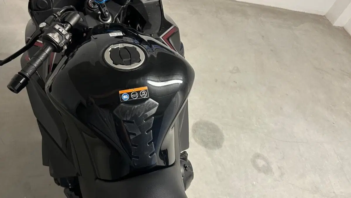 Kawasaki Ninja 1000 SX (2021 - 24)  (8)