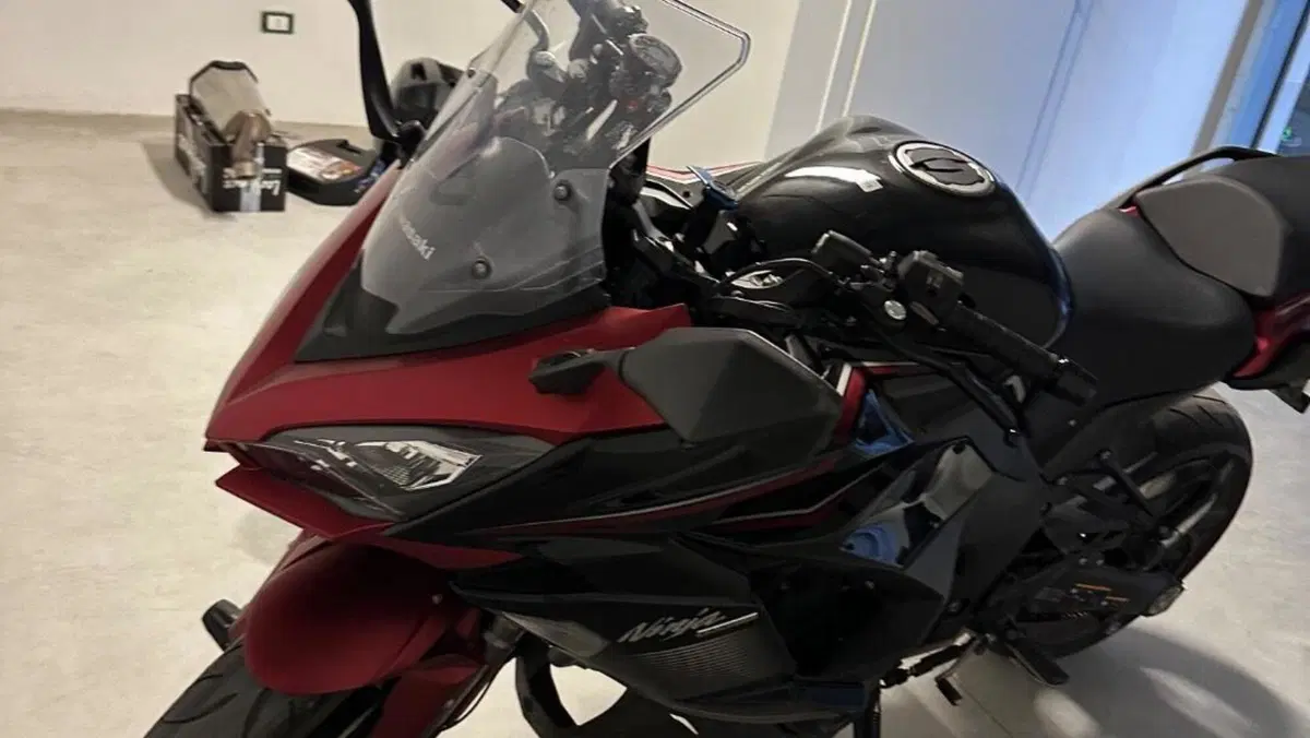 Kawasaki Ninja 1000 SX (2021 - 24)  (9)