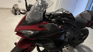 Kawasaki Ninja 1000 SX (2021 - 24)  (9)