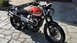 Triumph Street Scrambler 900 (2017 - 18)  (2)