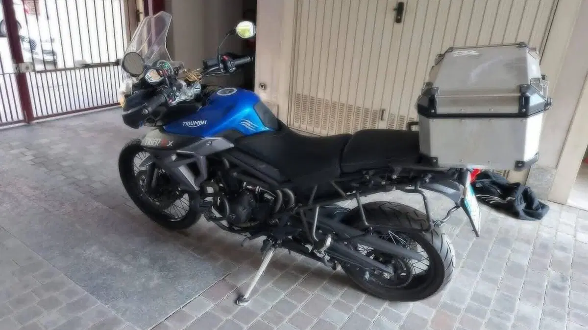 Triumph Tiger 800 XCx (2015 - 17)  (6)