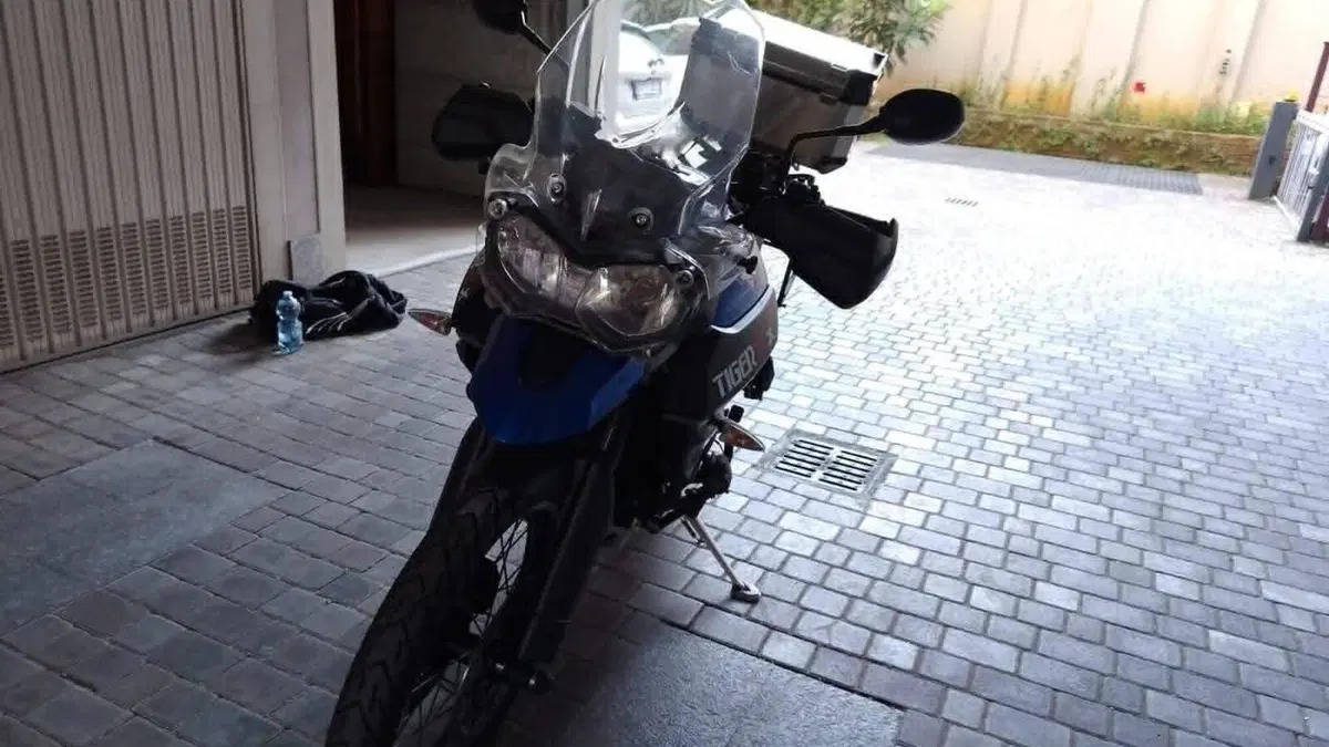 Triumph Tiger 800 XCx (2015 - 17)  (9)