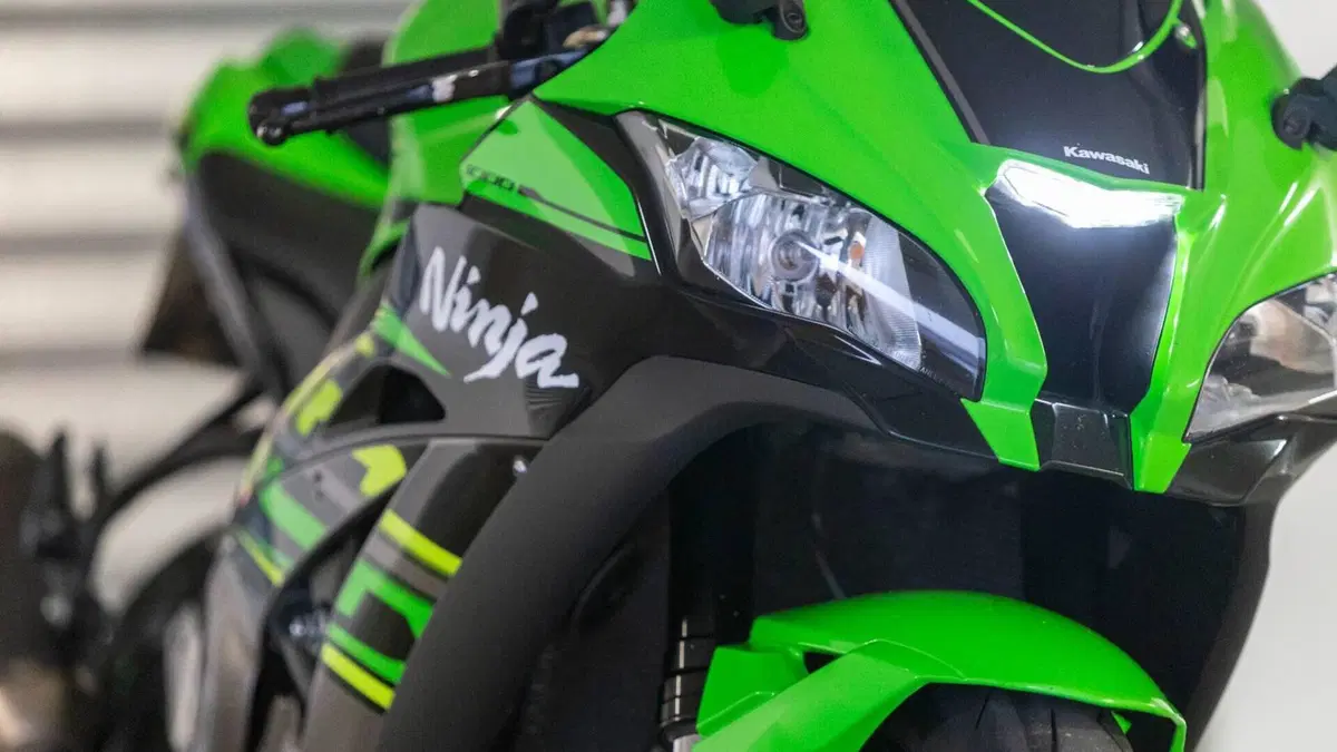 Kawasaki Ninja 1000 ZX-10R (2017 - 18)  (7)