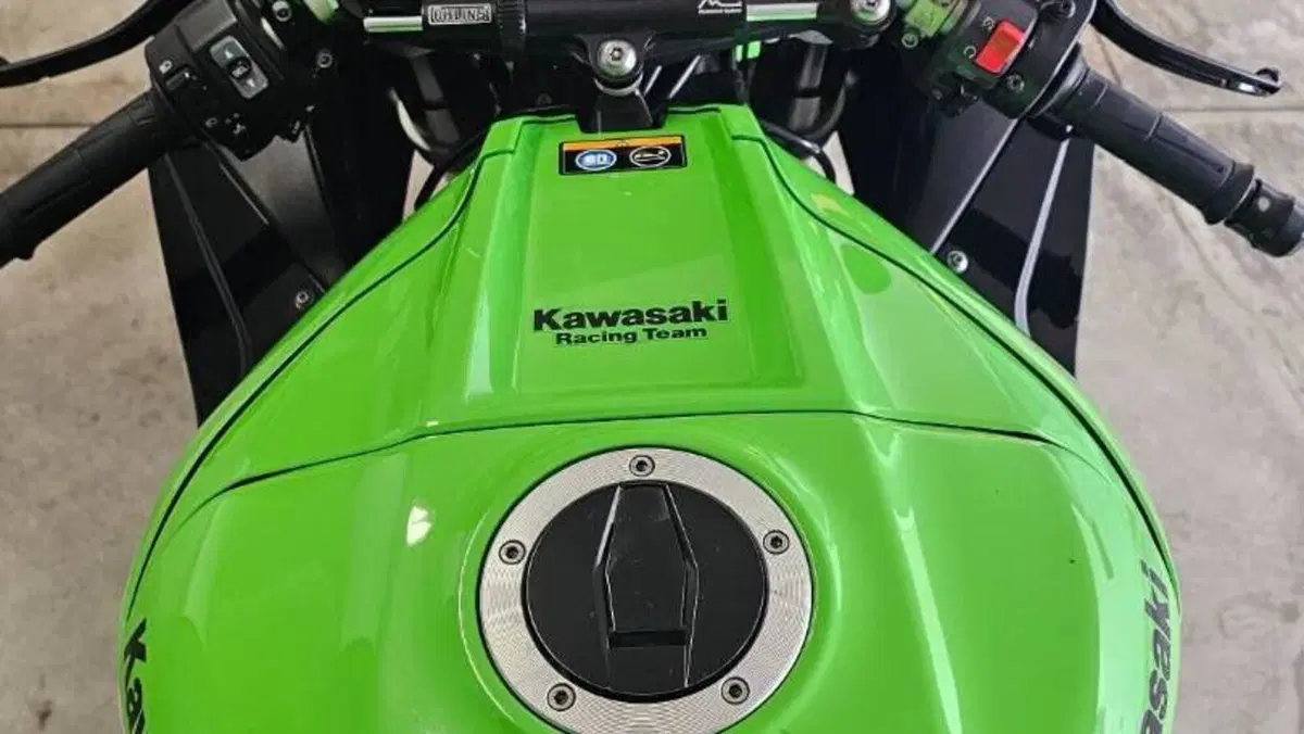 Kawasaki Ninja 1000 ZX-10R (2017 - 18)  (8)