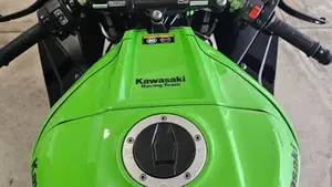 Kawasaki Ninja 1000 ZX-10R (2017 - 18)  (8)