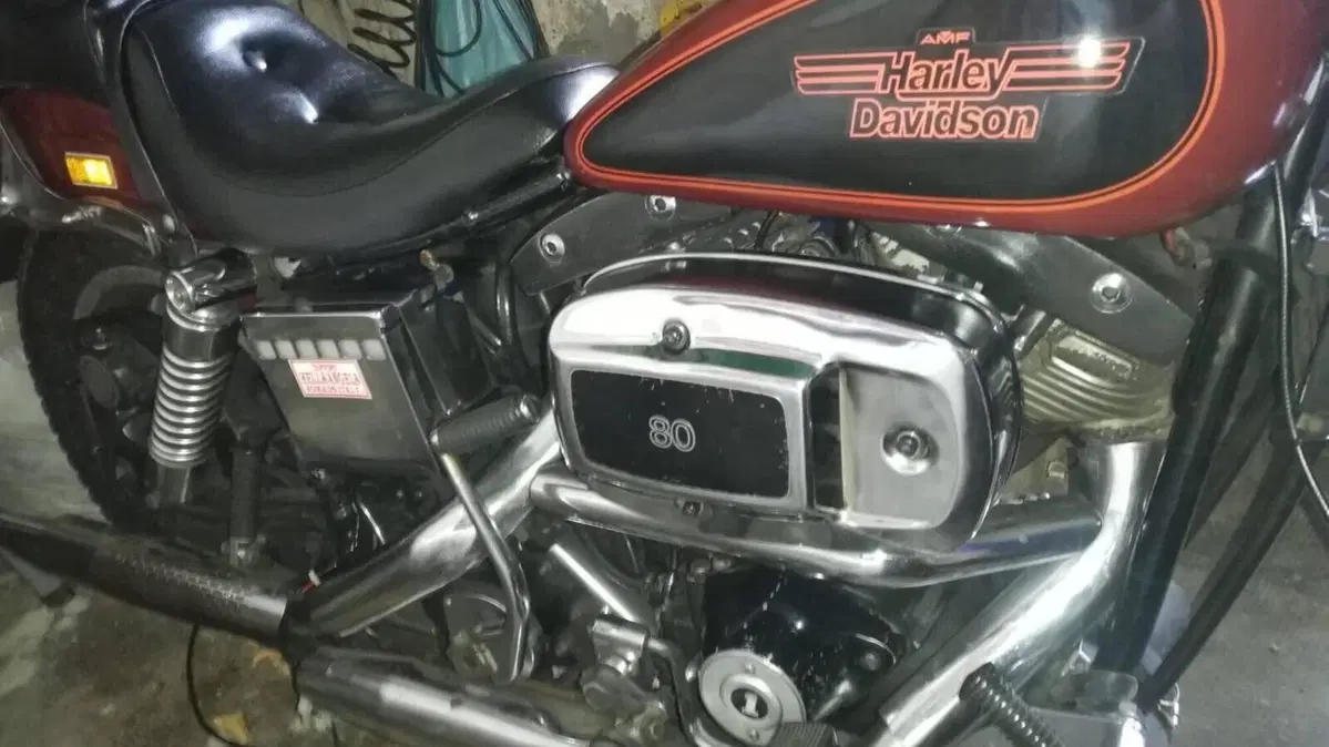 Harley-Davidson   (2)