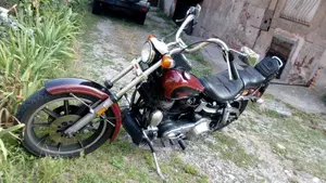 Harley-Davidson   (3)