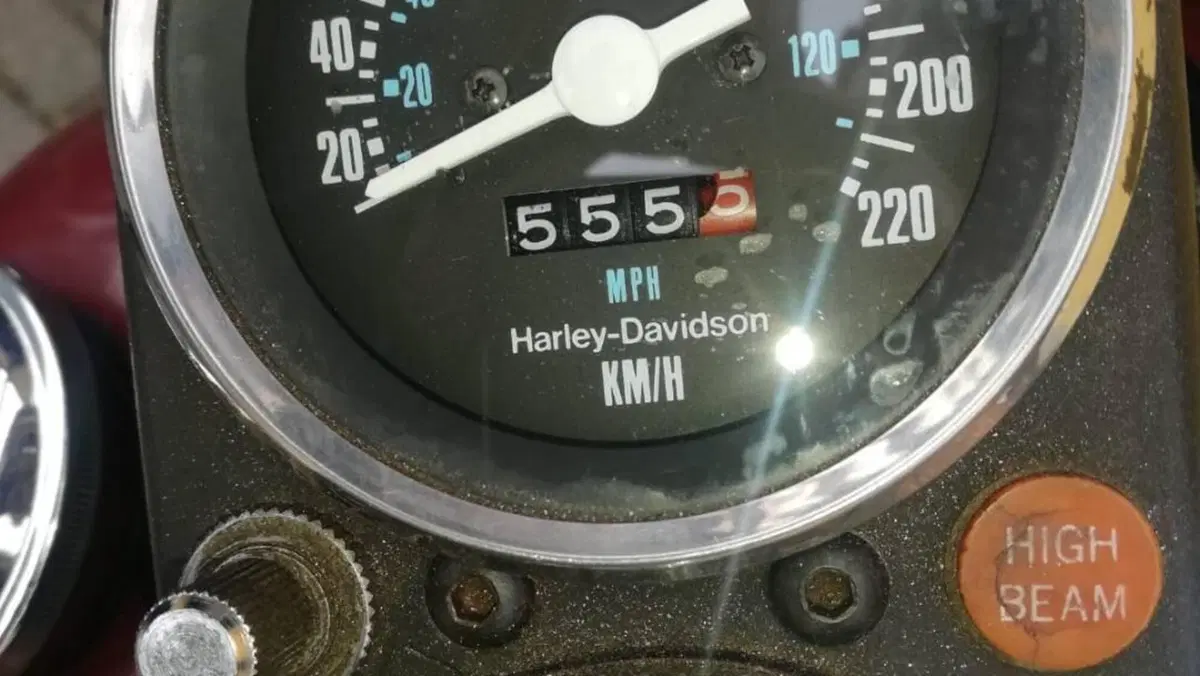 Harley-Davidson   (4)