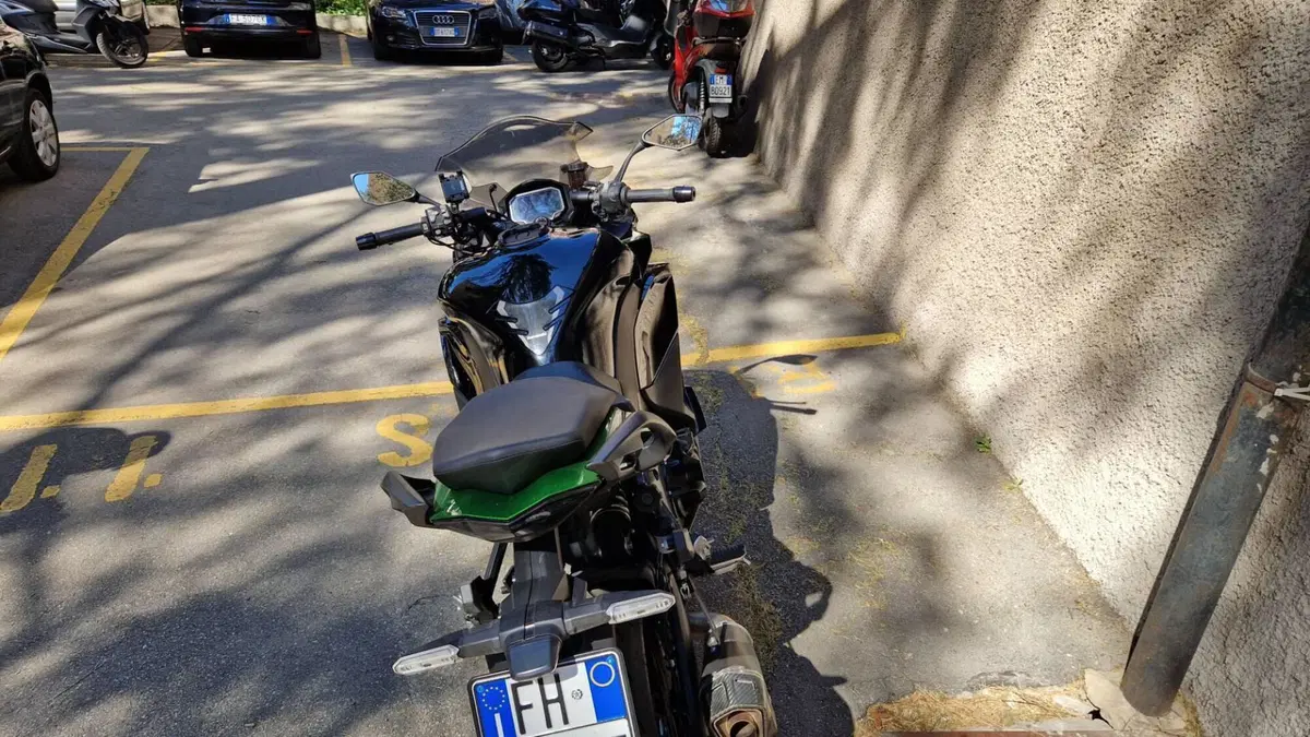 Kawasaki Ninja 1000 SX Tourer (2021 - 24)  (9)