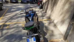 Kawasaki Ninja 1000 SX Tourer (2021 - 24)  (9)