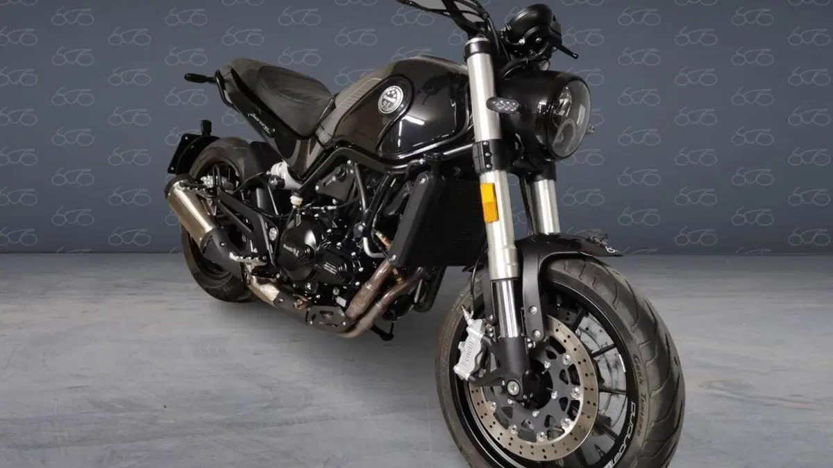 Benelli Leoncino 500 (2021 - 25)  (2)
