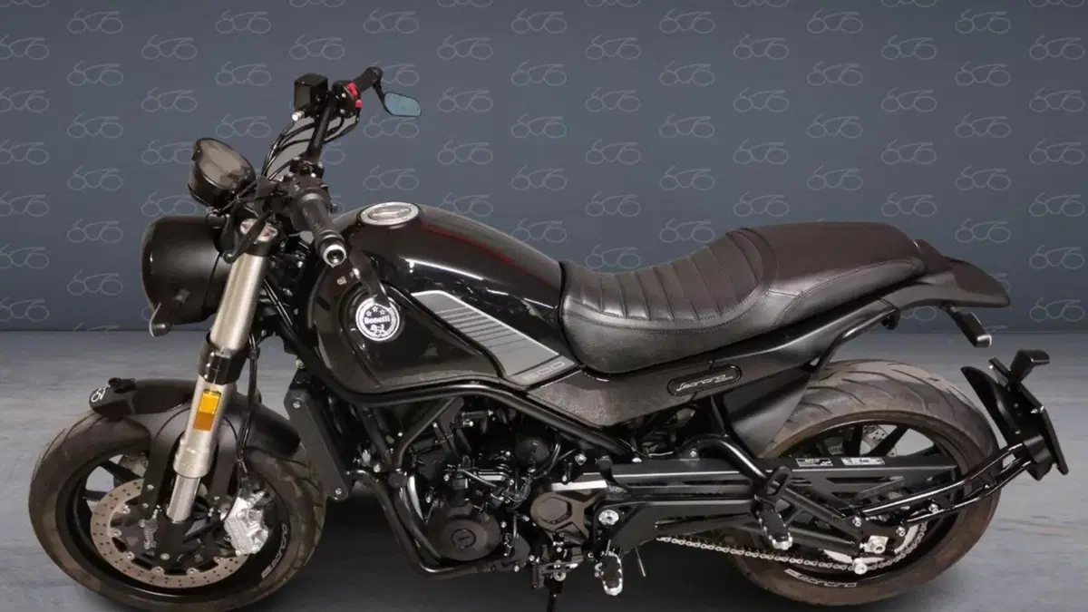 Benelli Leoncino 500 (2021 - 25)  (3)