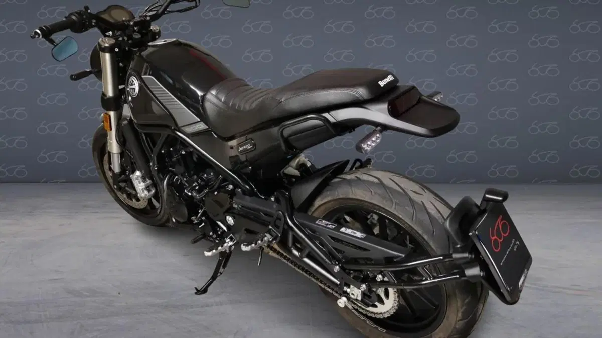 Benelli Leoncino 500 (2021 - 25)  (4)