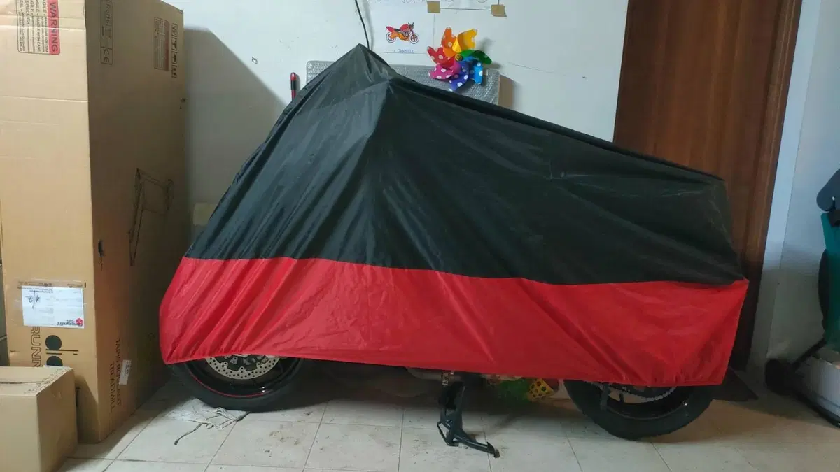 Ducati Multistrada 950 S (2021)  (7)