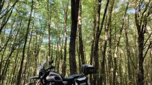 Moto Guzzi V85 TT Travel (2021 - 23) 
