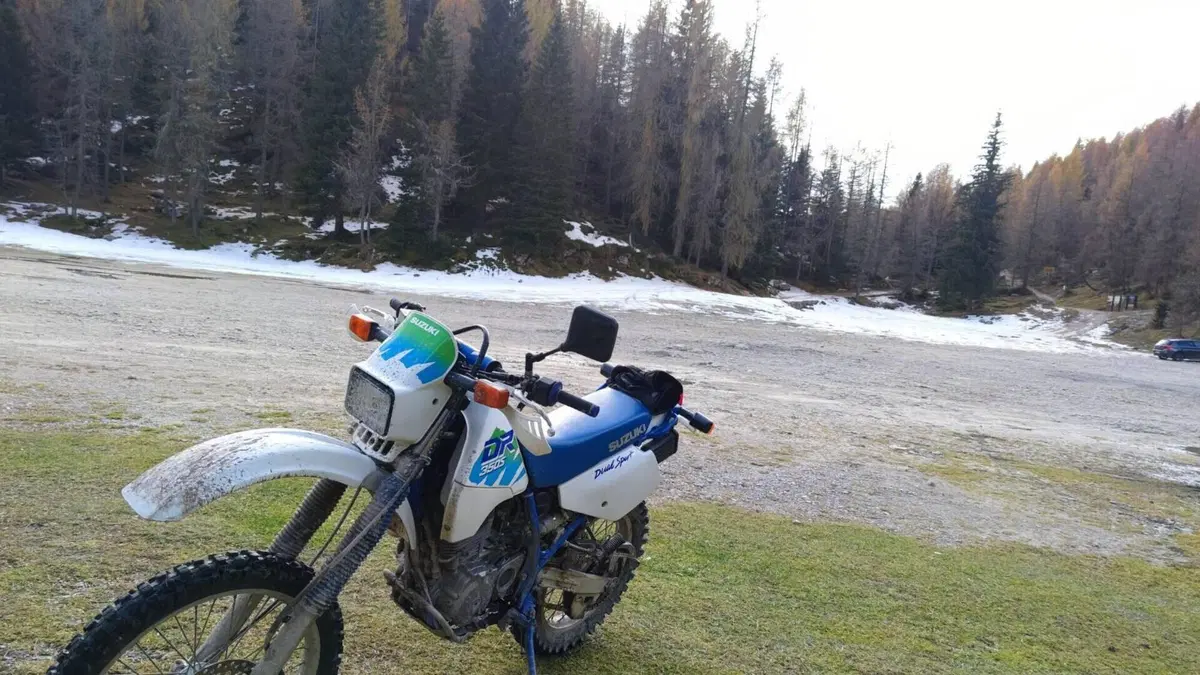 Suzuki DR 350 S (1990 -93)  (2)