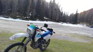 Suzuki DR 350 S (1990 -93)  (2)