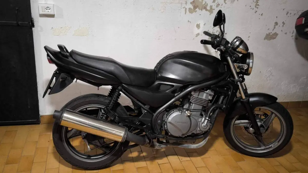 Kawasaki ER-5 500 (2001 - 06)  (3)
