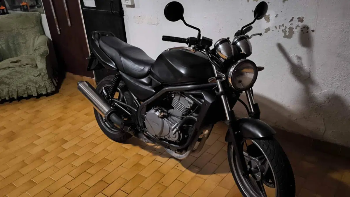 Kawasaki ER-5 500 (2001 - 06)  (4)