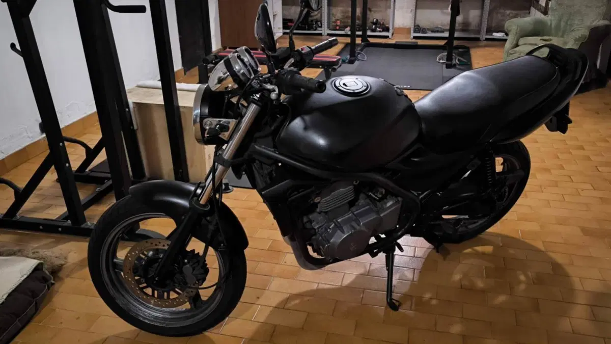 Kawasaki ER-5 500 (2001 - 06)  (6)