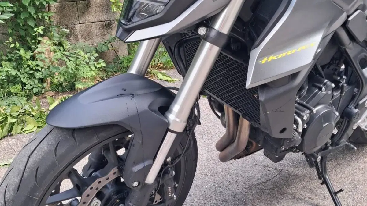Honda CB 750 Hornet (2023 - 24)  (4)