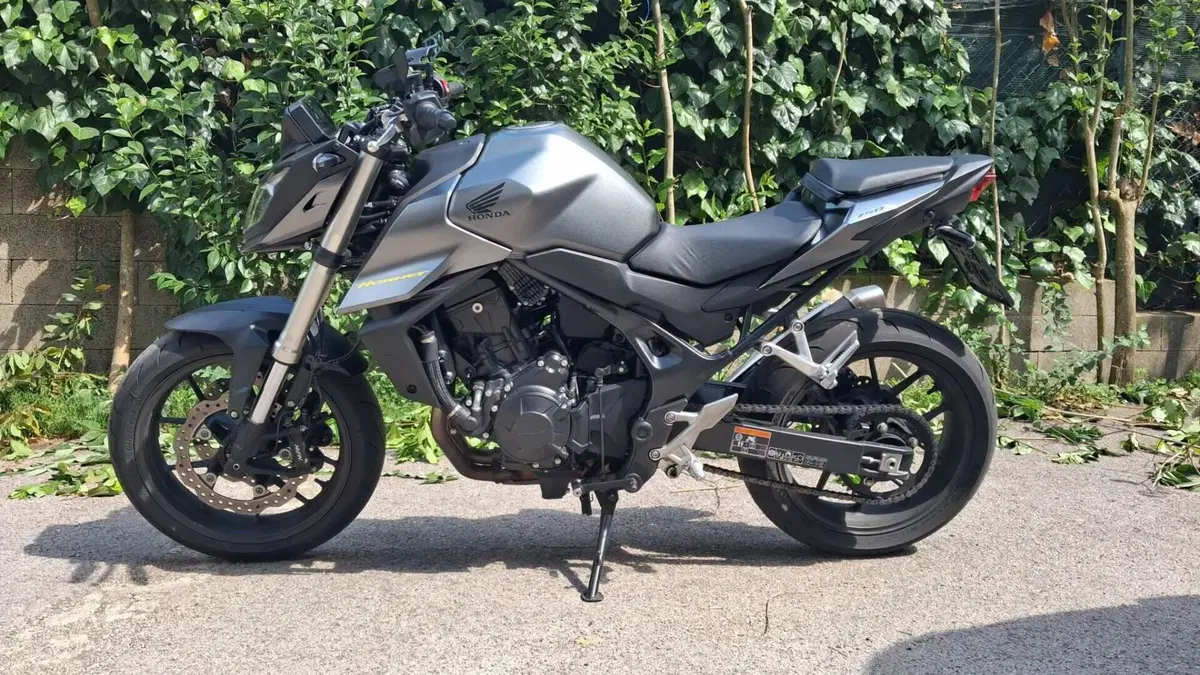 Honda CB 750 Hornet (2023 - 24)  (6)