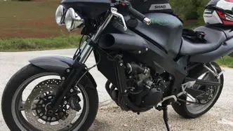 Triumph TT 600 (2000 - 01) usata