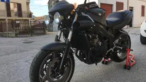 Triumph TT 600 (2000 - 01)  (3)