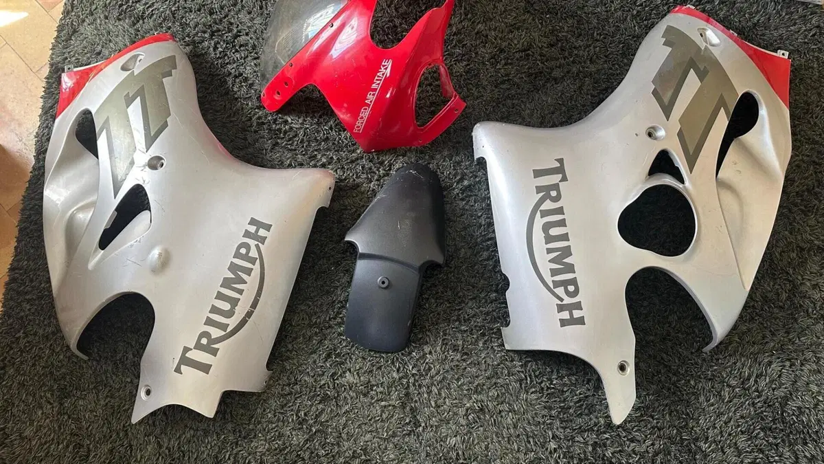 Triumph TT 600 (2000 - 01)  (8)