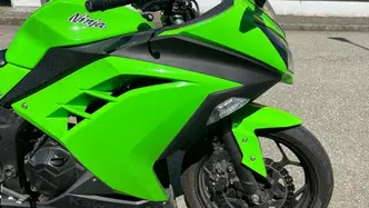 Kawasaki Ninja 300 (2012 - 14) usata