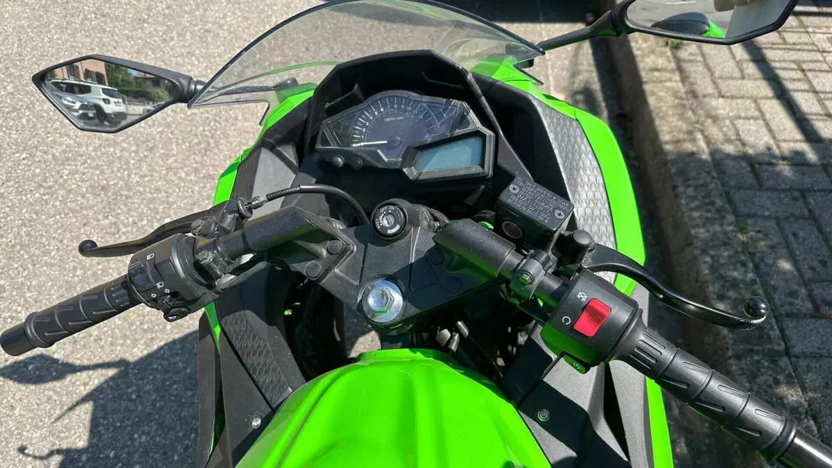 Kawasaki Ninja 300 (2012 - 14)  (2)