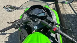Kawasaki Ninja 300 (2012 - 14)  (2)