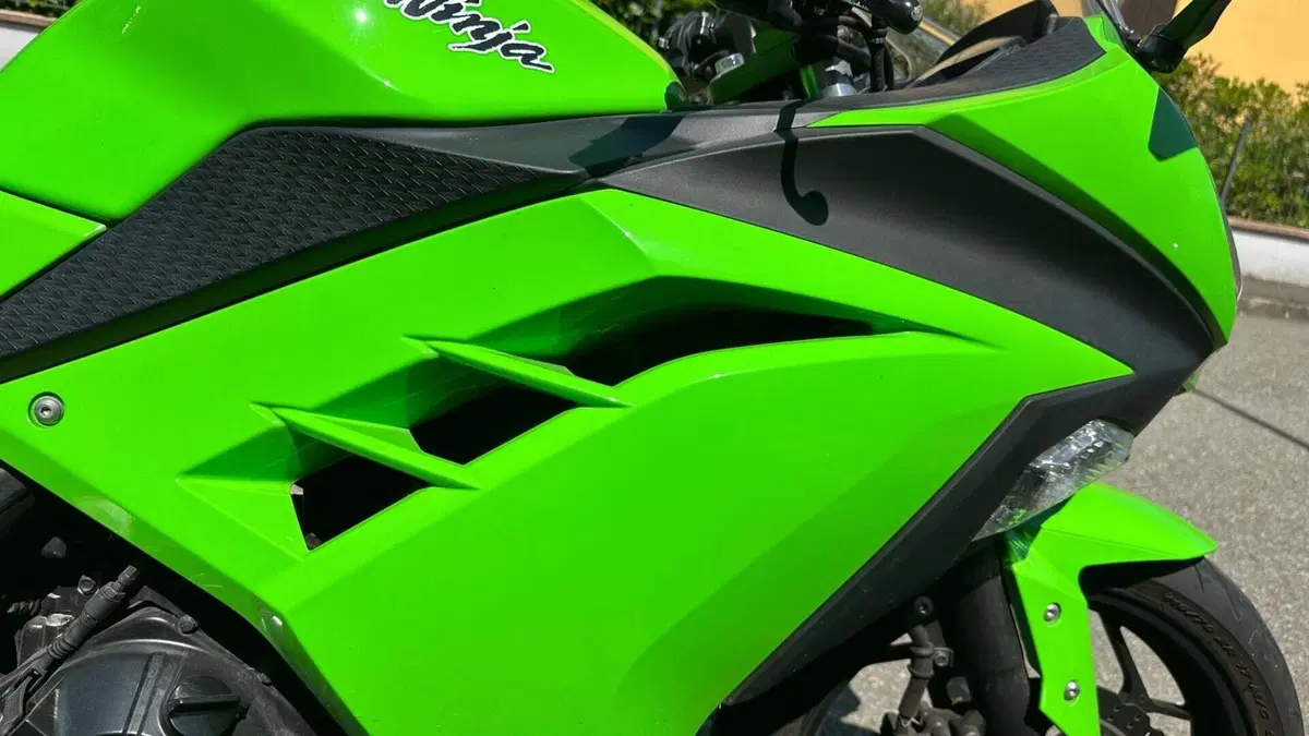 Kawasaki Ninja 300 (2012 - 14)  (4)