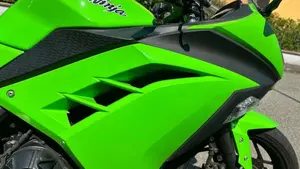 Kawasaki Ninja 300 (2012 - 14)  (4)