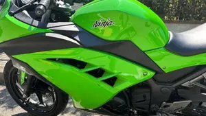 Kawasaki Ninja 300 (2012 - 14)  (6)