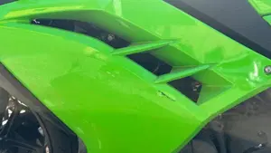 Kawasaki Ninja 300 (2012 - 14)  (7)