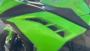 Kawasaki Ninja 300 (2012 - 14)  (8)
