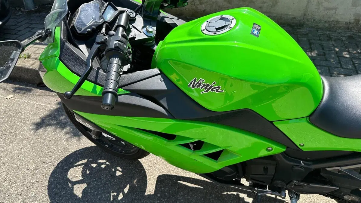 Kawasaki Ninja 300 (2012 - 14)  (9)