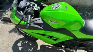 Kawasaki Ninja 300 (2012 - 14)  (9)