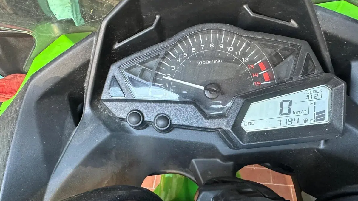 Kawasaki Ninja 300 (2012 - 14)  (10)