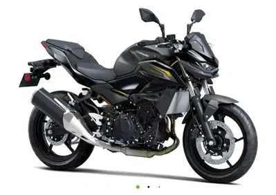 Kawasaki Z 500 (2024 - 26) - Annuncio 9901679