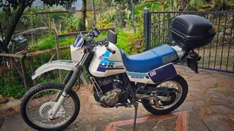 Suzuki DR 600 R (1985 - 87) usata