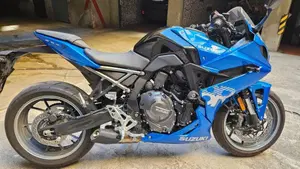 Suzuki GSX-8R (2024 - 26)  (7)