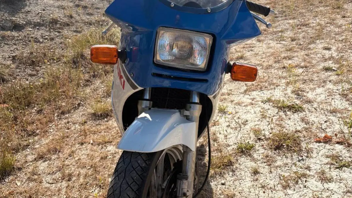 Suzuki   (2)
